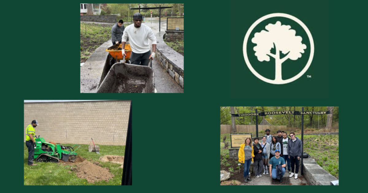 SUNY Old Westbury marks Arbor Day 2025 SUNY Old Westbury